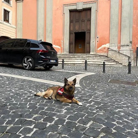Diffuso Specchio Di Diana