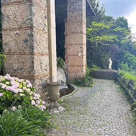 Diffuso Specchio Di Diana