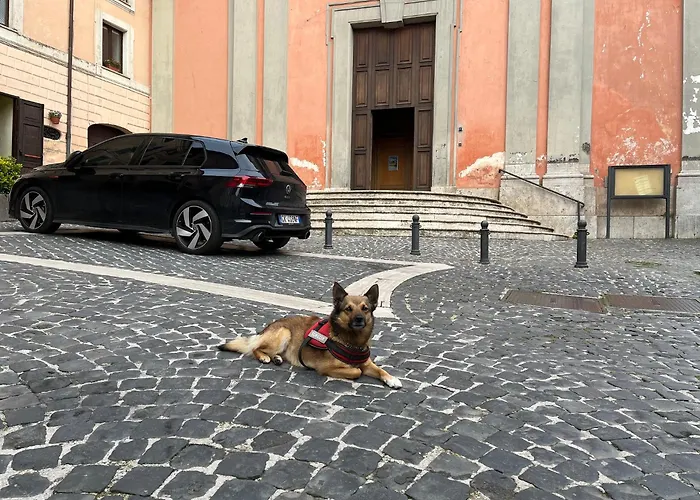 Diffuso Specchio Di Diana